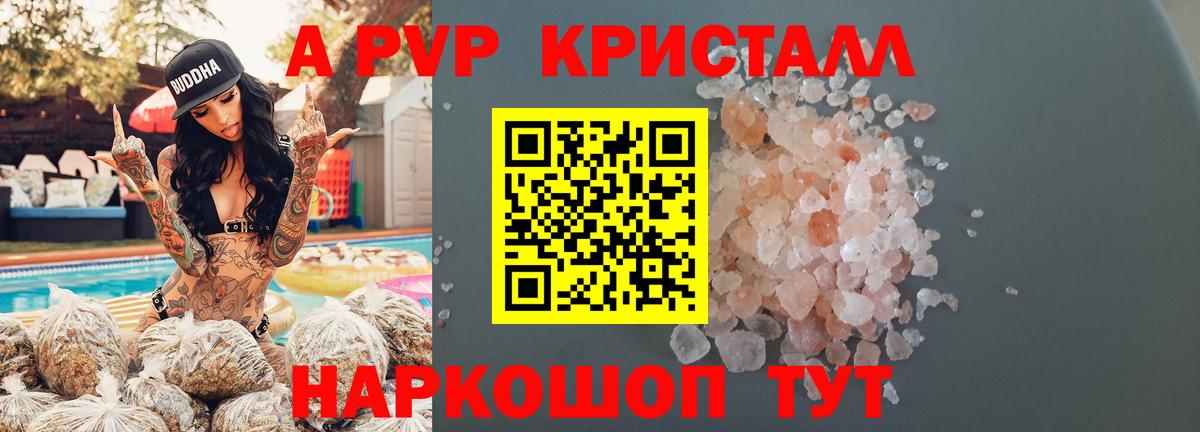 A PVP СК КРИС Шадринск