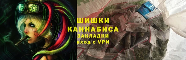 твердый Михайлов
