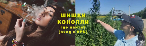 твердый Михайлов