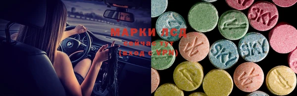 PSILOCYBIN Навашино