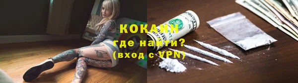 твердый Михайлов