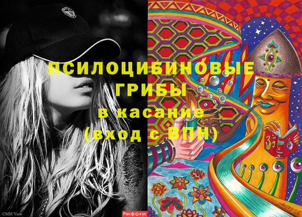 ECSTASY Медвежьегорск