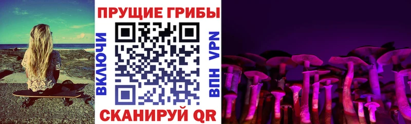 Псилоцибиновые грибы Cubensis  Шадринск 