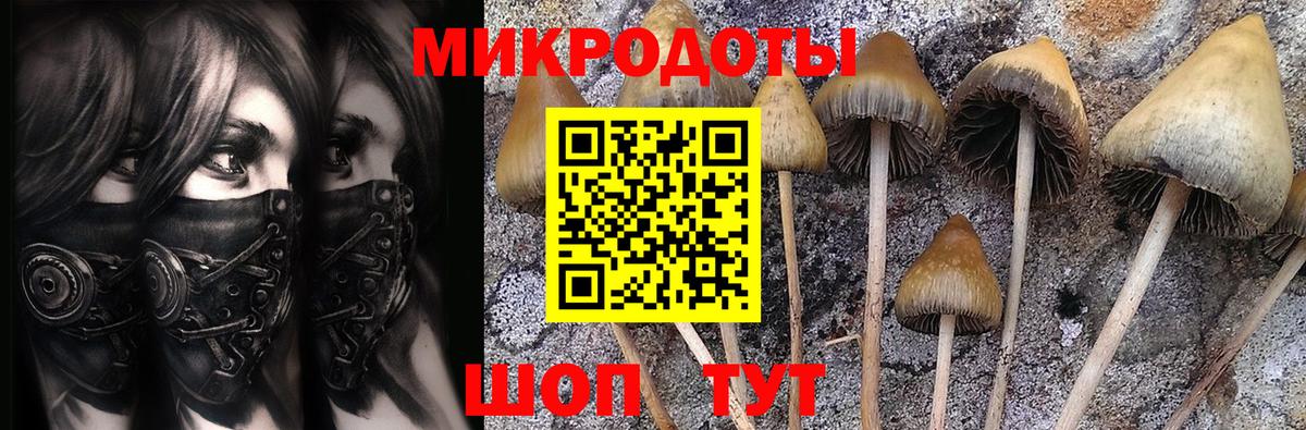 Галлюциногенные грибы Cubensis Шадринск