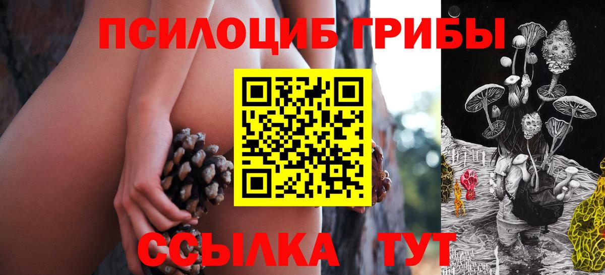 Шадринск  Псилоцибиновые грибы мицелий  Вход с VPN 