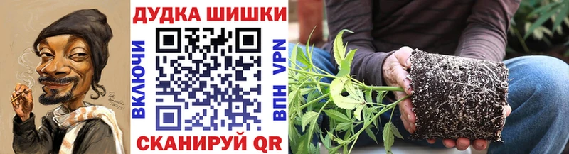 Бошки марихуана MAZAR  купить закладку  Шадринск 